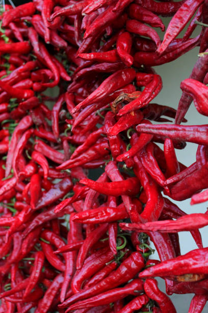 istock Dry ripe red pepper outdoors. 1177442113