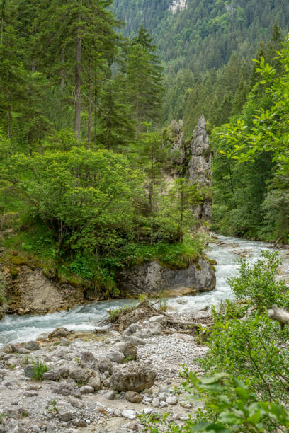 istock Small river in the mountains with green trees in sunshine 1177442670