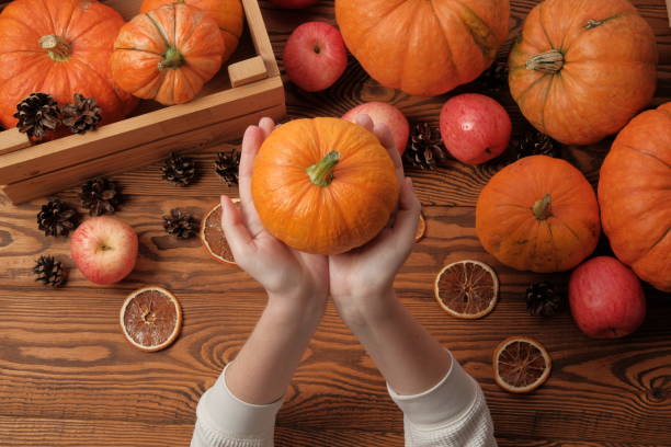 istock Female hands hold an orange pumpkin. top view 1177442671