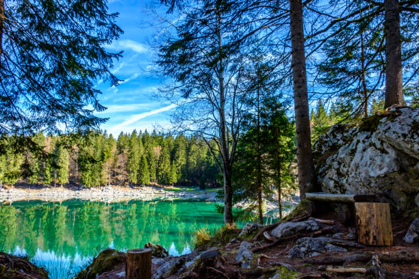 istock Spring morning at the alpine lake 1177443015