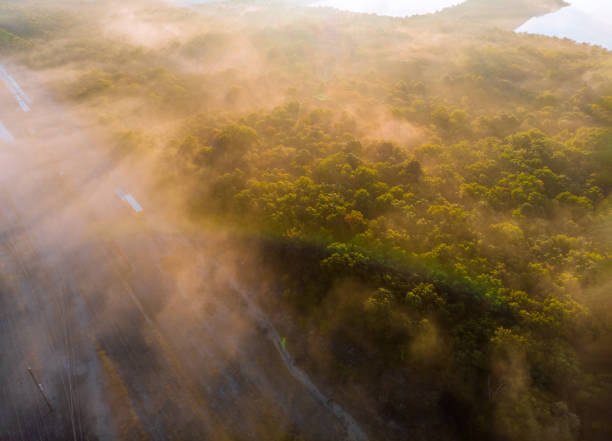 istock Fog landscape sunrise amazing morning mist 1177443818