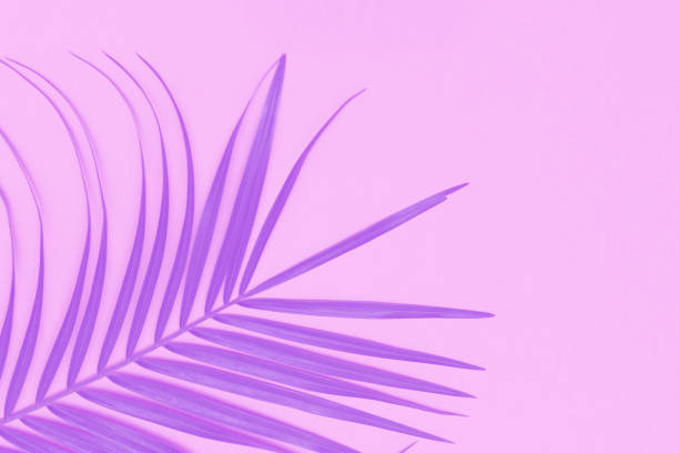 istock Tropical nature tinted in vibrant color 1177446083