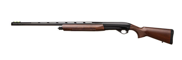 istock Modern semi-automatic hunting shotgun with a wooden butt isolate on a white background. Weapons for sports, hunting and self-defense. 1177446363