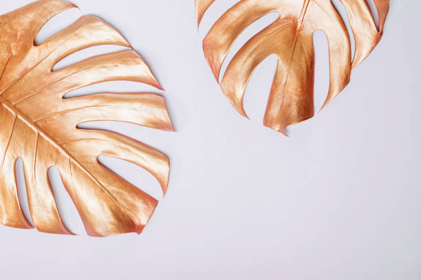 istock Gold colored monstera plant leaves and copy space. 1177449206
