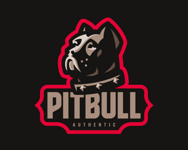 Pitbull modern logo. Dog design emblem template for a sport and eSport team. Pitbull modern logo. Dog design emblem template for a sport and eSport team. pit bull power stock illustrations