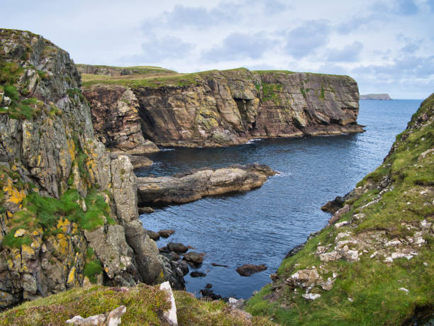 istock Sandstone cliffs on the East Shetland coast near Levenwick 1177454820