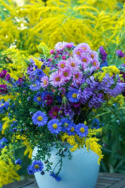 Autumn flowers,Eifel,Germany.
Please see more similar pictures of my Portfolio.
Thank you!