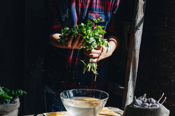 istock Woman washing fresh parsley 1177460523