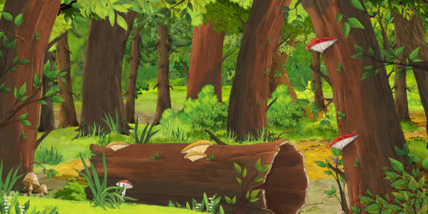 illustrations, cliparts, dessins animés et icônes de scène d'été de dessin animé avec le pré dans la forêt - nobody tranquil scene nature park