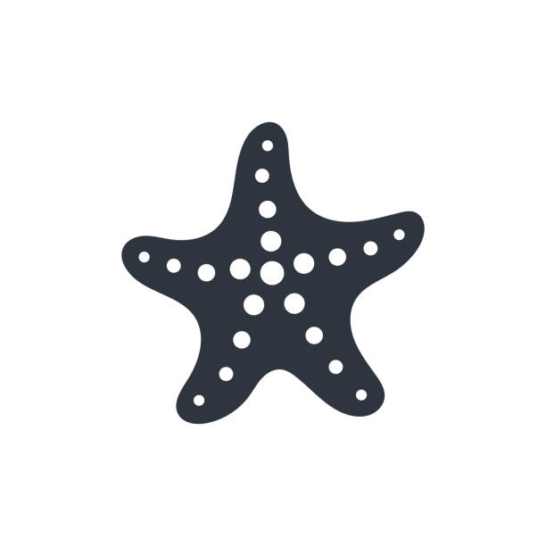 Starfish Starfish graphic icon. Sea star black sign isolated on white background. Sea life symbol. Vector illustration background studio water stock illustrations