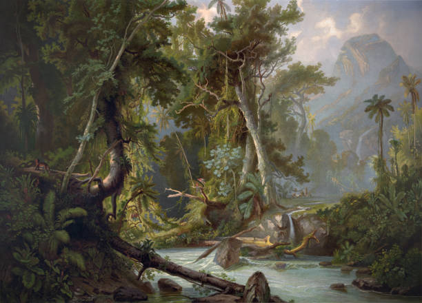 bildbanksillustrationer, clip art samt tecknat material och ikoner med sydamerikansk skog - 1800 talet