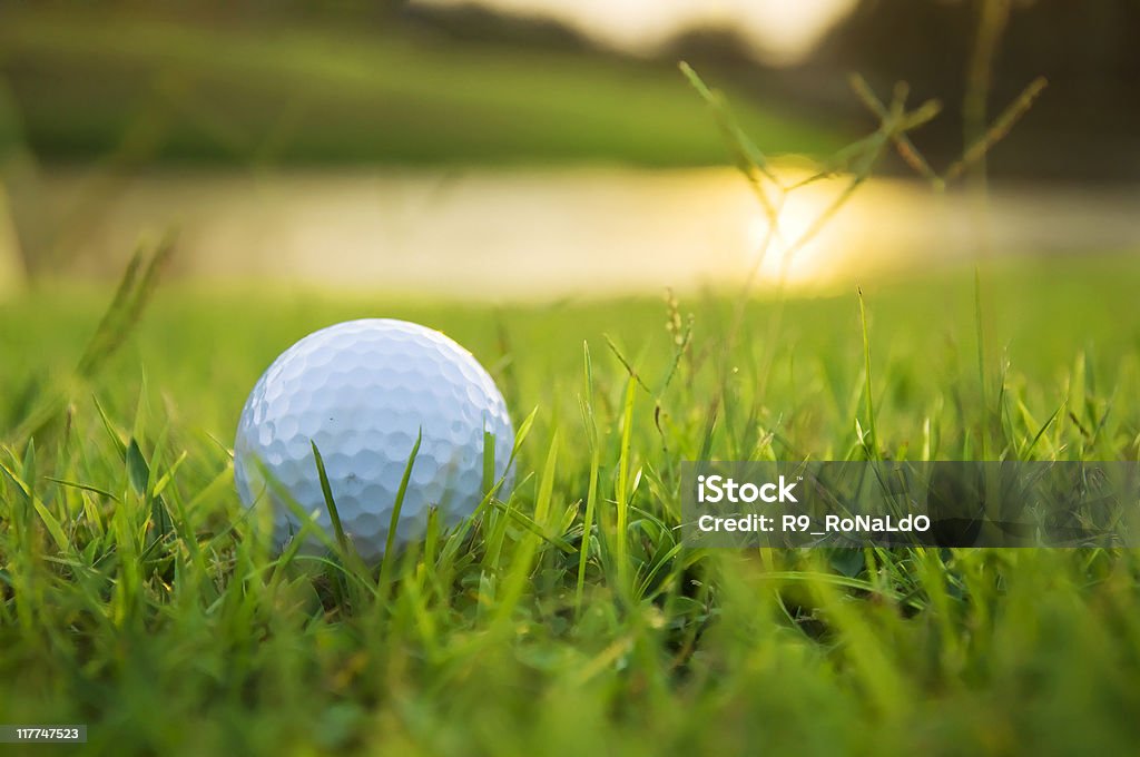 Piłka do golfa na ziemi - Zbiór zdjęć royalty-free (Piłka do golfa)