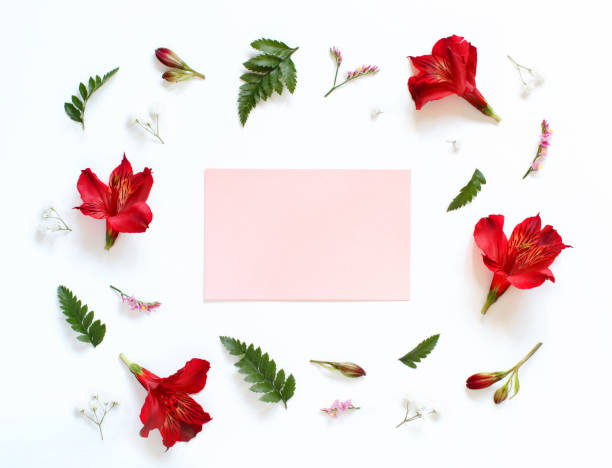 istock Red and white flowers on a white background 1177477986