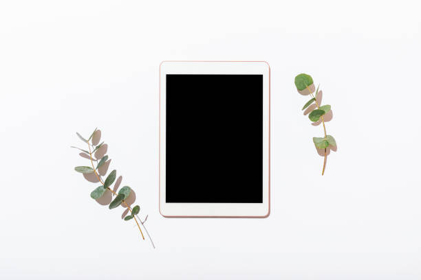 istock Tablet with blank screen near branches of eucalyptus 1177478065