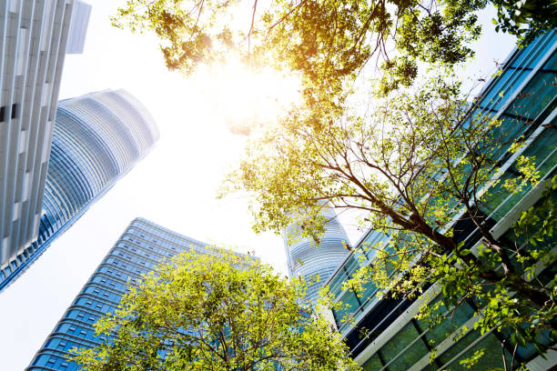istock Low angle view of the modern office building 1177479060