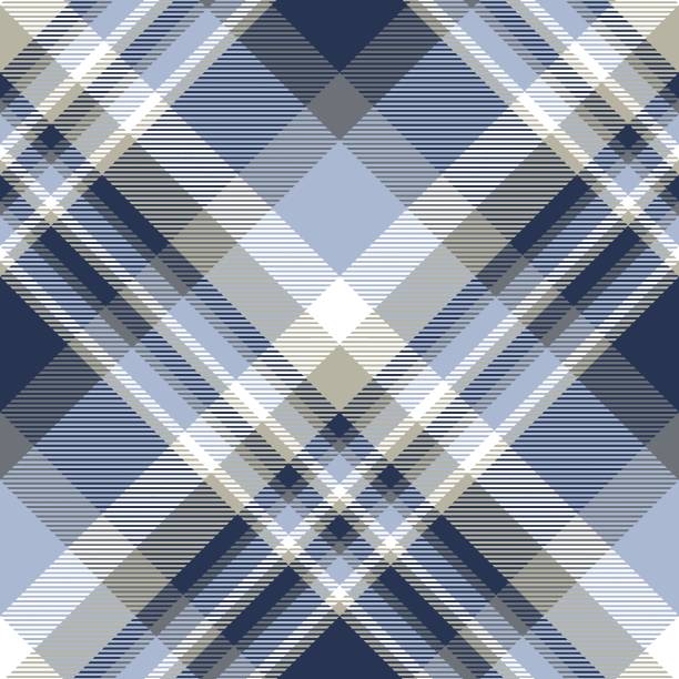 Plaid pattern in blue, navy, pale taupe and white. Seamless fabric texture print masculinity stock illustrations