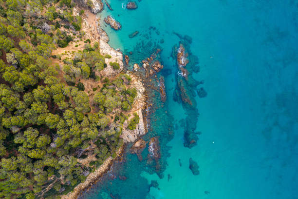 istock Beautiful landscape of tropical coast 1177484177