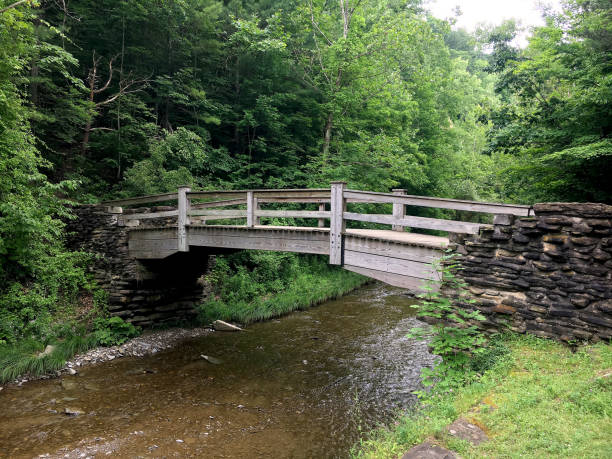 istock Stone Wood Bridge Connection Connect Join Separate Creek Stream River Together Hike Trail 1177484484