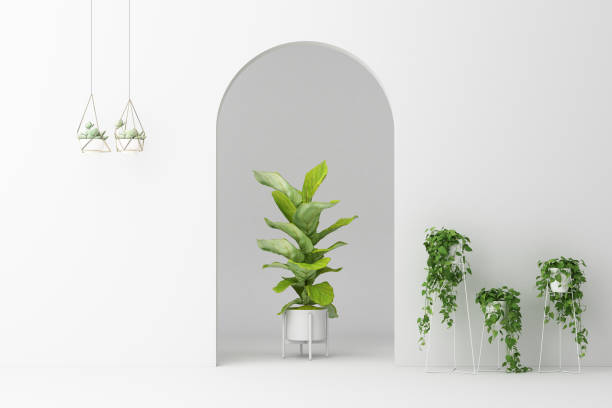 istock Minimalistic,white arch with many plant decorate. 3d rendering 1177488053