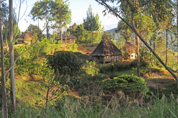 traditional houses on hillside