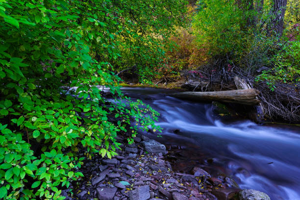 istock Fall Autumn Colors Mountain Creek 1177491604