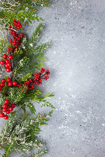Christmas or winter background with a border of green and frosted evergreen branches and red berries on a grey vintage board. Flat lay, winter concept with copy space.