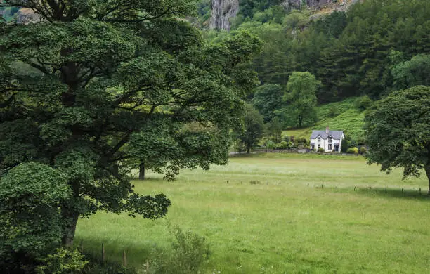 Beautiful white cottage house on the picturesque green farmlands at the Lake District area in United Kingdom