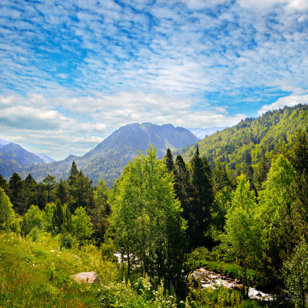 Beautiful mountain landscape and river. The concept is travel.