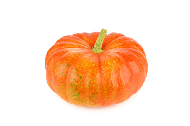 istock Ripe pumpkin isolated on white background. 1177503903