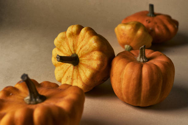 istock steal life with small squashes 1177505597