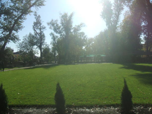istock City scape green  park 1177506349