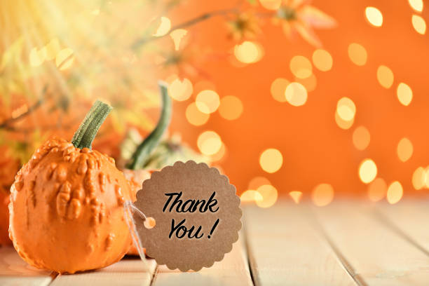 istock Thanksgiving still life with pumpkins and greeting card on illuminated background and a rustic wooden table 1177509802