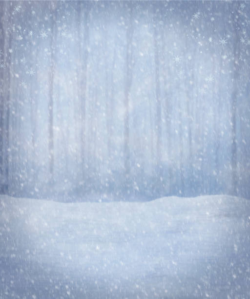Winter snow forest in the fog, snowdrifts, blizzard, snowfall. Gray-blue background