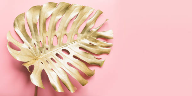Golden tropical palm leaf Monstera on luxury pastel pink. Abstract pattern for design.