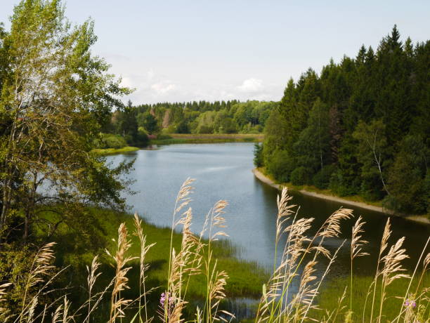 istock Reservoir in Harz Germany 1177515806
