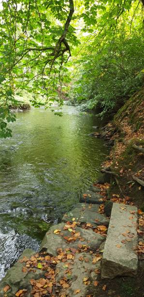istock Still waters of river and lush green foliate 1177516413