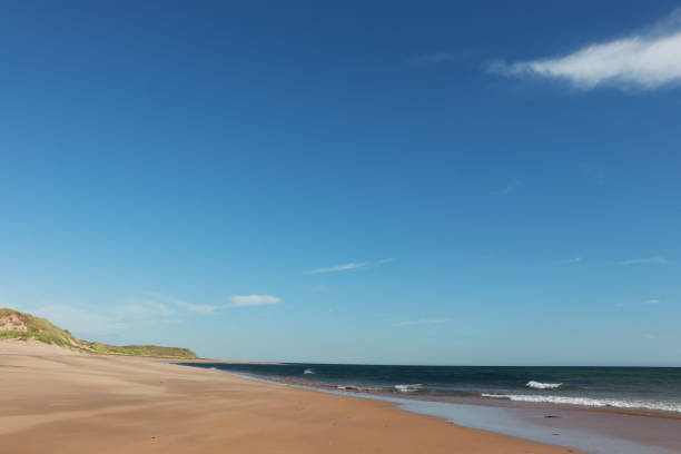 istock Beach and sea under blue sky with copy space 1177518836