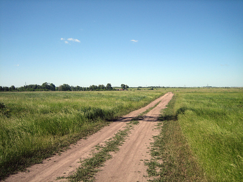 Dirt road in an open field on a clear summer day. Dry earth ruts form a flat, straight rural road. The field is covered with smooth green grass. On the horizon you can see the village and the forest.
