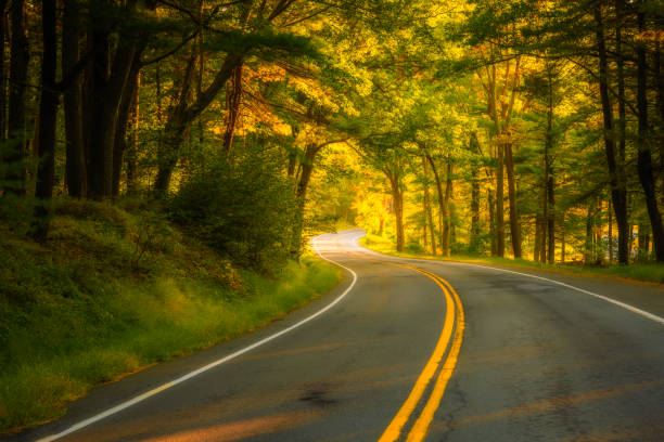 istock Seven Lakes Drive in Autumn 1177534899