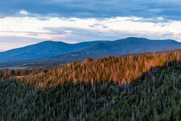 canyon rim mit blick auf pinienwaldberge in der nähe des campingplatzes im flaming gorge utah national park bei sonnenuntergang mit wolken - 16022 stock-fotos und bilder