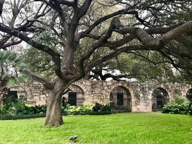 Backside of the Alamo in San Antonio, Texas