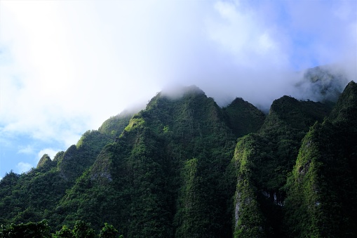 Ko'olau Mountain range ridges with sharp wind swept cuts and clouds settled on top.  Ko'olaus are the remains of the volcano which created the windward side of Oahu, Hawaii.  Eroded after years of wind and rain and covered with lush green plants and trees.