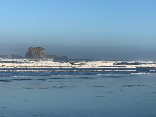 istock Morning by the sea 1177545387
