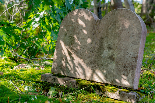 An old, blank, double tombstone in a shady cemetery. It is mostly in shade with a bit of sunlight falling on it. The base has moss on it, and it is on unkempt grass with trees behind.