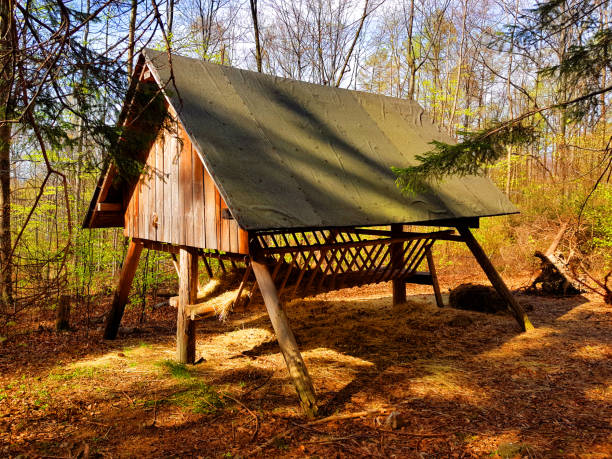 istock Animal feeder in the forest. 1177548250