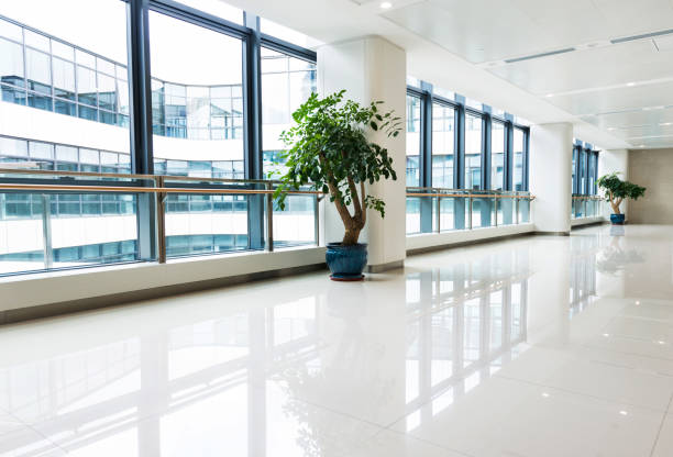 Corridor in hospital with glass wall Corridor in hospital with glass wall. medical office lobby stock pictures, royalty-free photos & images