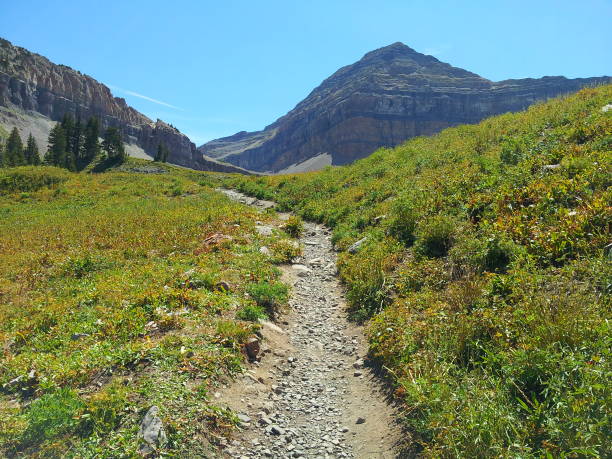 istock Timpanogos Basin, Mt Timpanogos, American Fork, Utah 1177557101