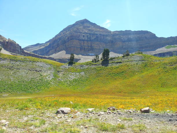 istock Timpanogos Basin, Mt Timpanogos, American Fork, Utah 1177557109