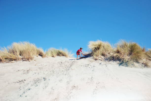 istock Child with Sand Board in Dunes 1177559115