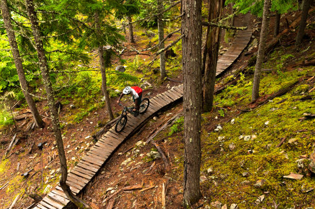 istock African American man mountain biking through a forest 1177561685